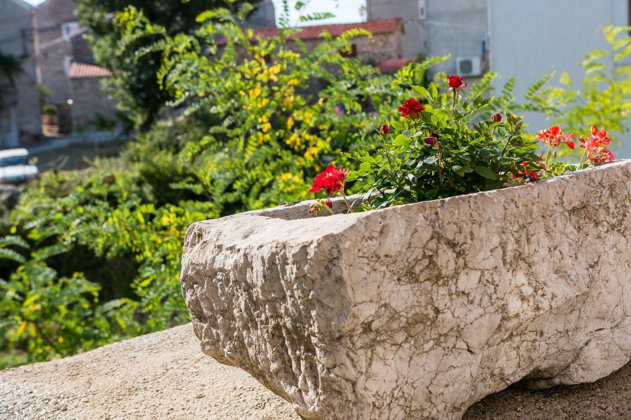 Apartmani Muzic Orlec Buitenkant foto